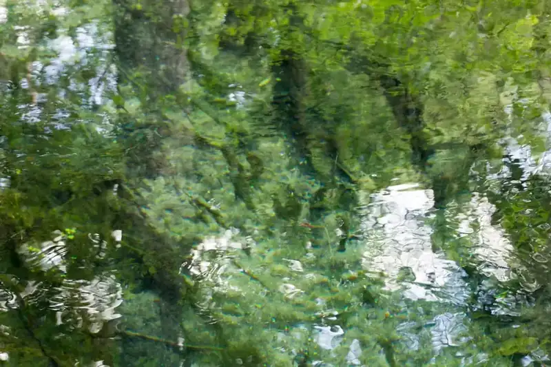 Sunlight falling through the clear water of the Ichetucknee River