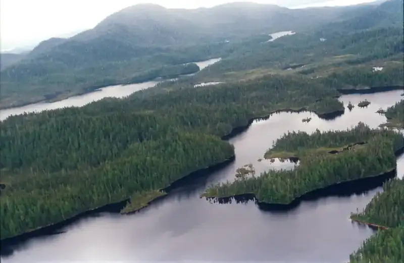 Forested slopes and still water in the fjord country of southeast Alaska