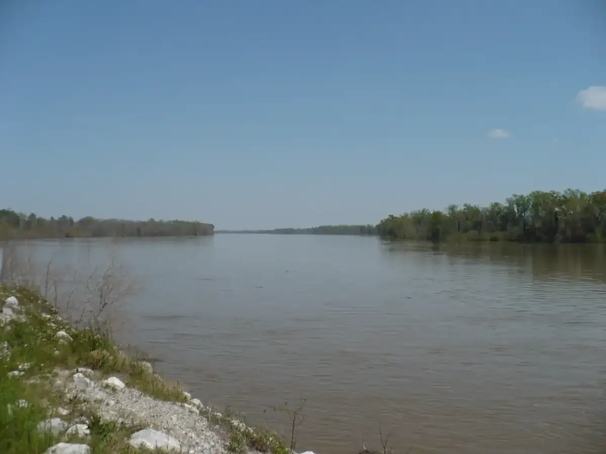 The Mobile River running between wooded banks below the delta