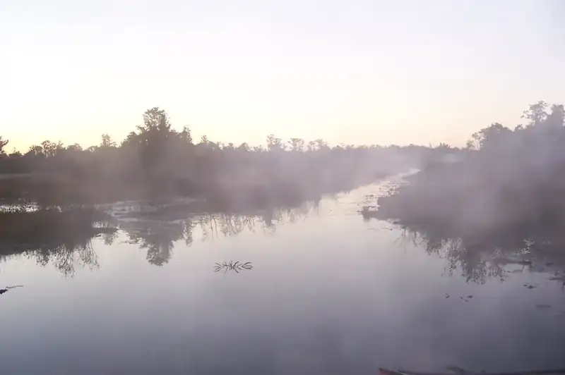 Fog lying over a blackwater run at sunrise in the Okefenokee