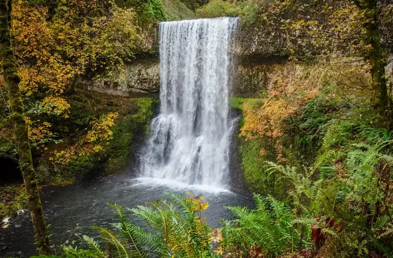 A waterfall dropping over a mossy ledge into its pool, framed by autumn maples and ferns