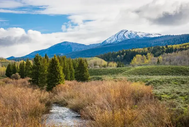 A creek running through willows below snow-covered peaks in the Wind River Range